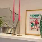 Daire Chocolets - The Yorkie